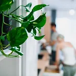 The Cozynook - Iulius Park & Mall, Modern, Private Parking Apartment Cluj-Napoca