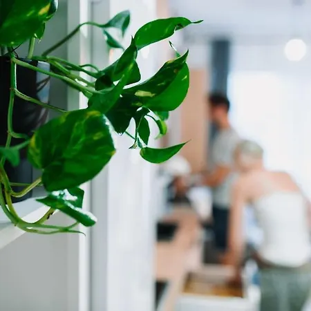 The Cozy Nook - Iulius Park & Mall, Modern, Private Parking 아파트 클루지나포카