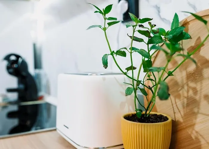 Апартаменты The Cozynook - Iulius Park & Mall, Modern, Private Parking