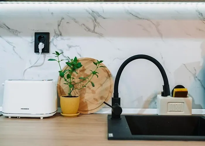 Lägenhet The Cozynook - Iulius Park & Mall, Modern, Private Parking *