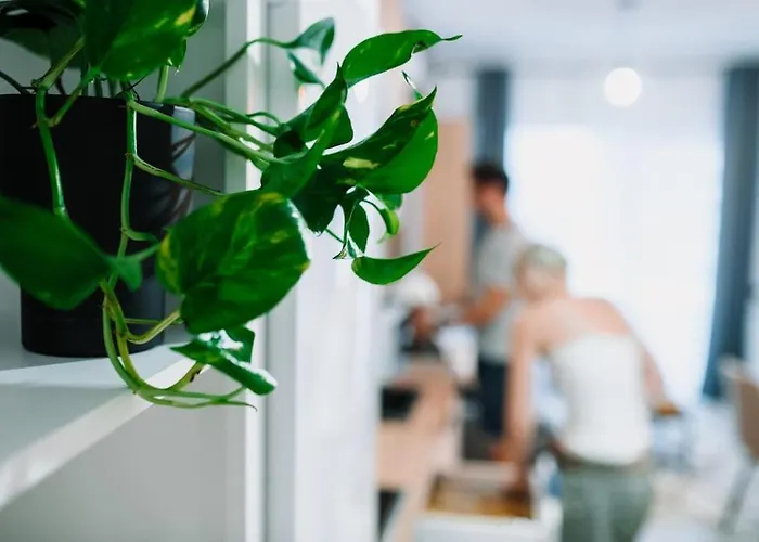 The Cozynook - Iulius Park & Mall, Modern, Private Parking Апартаменты Клуж-Напока